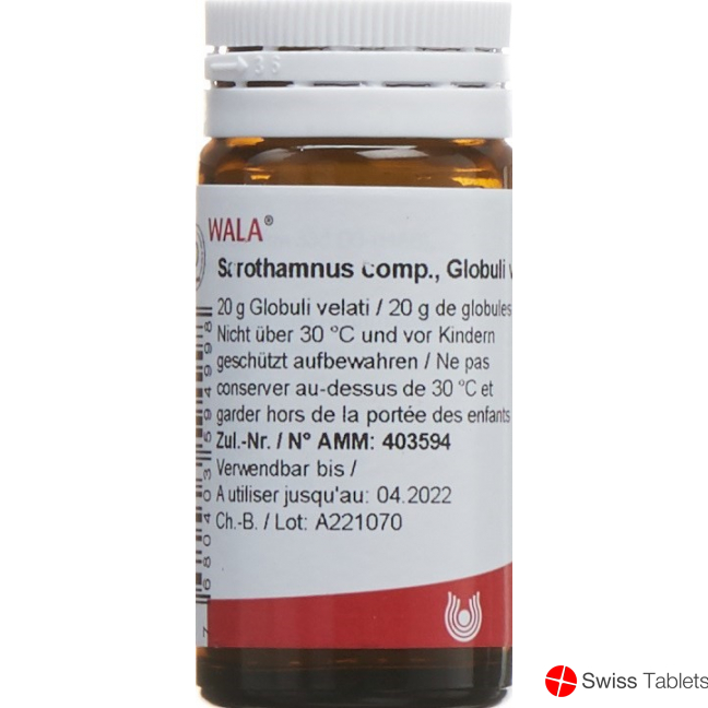 Wala Sarothamnus Comp Globuli Flasche 20g buy online Wala Sarothamnus Comp Globuli Flasche 20g buy online