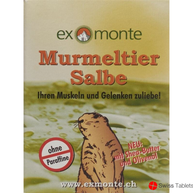 Exmonte Murmeltier Salbe Topf 100ml buy online Exmonte Murmeltier Salbe Topf 100ml buy online
