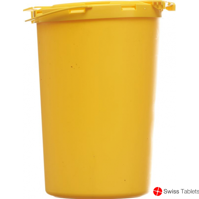 E Safe disposal box 2.0 L Clinical waste buy online