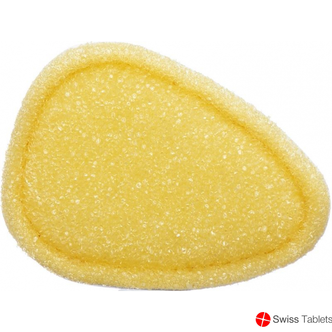 Sherteme Backhelp Exfoliating Sponge buy online