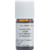 Aromasan Karottensamen Ätherisches Öl 5ml buy online