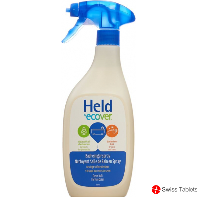 Held Eco Badreiniger Spray 500ml buy online