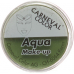 Carneval Color Aqua Make Up Grün Dose 10ml buy online