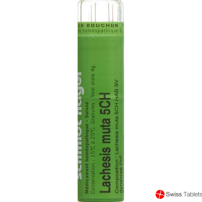 Lachesis muta SN Gran CH 5 4 g