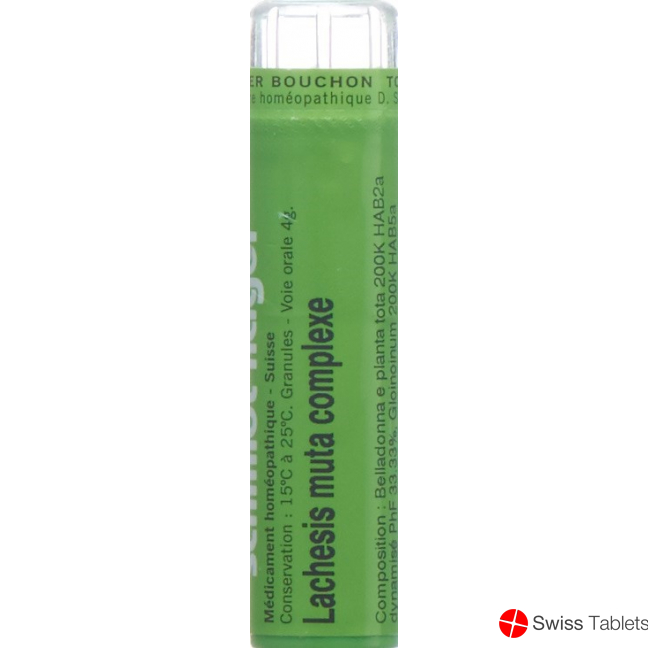Lachesis muta SN complexe Gran 4 g