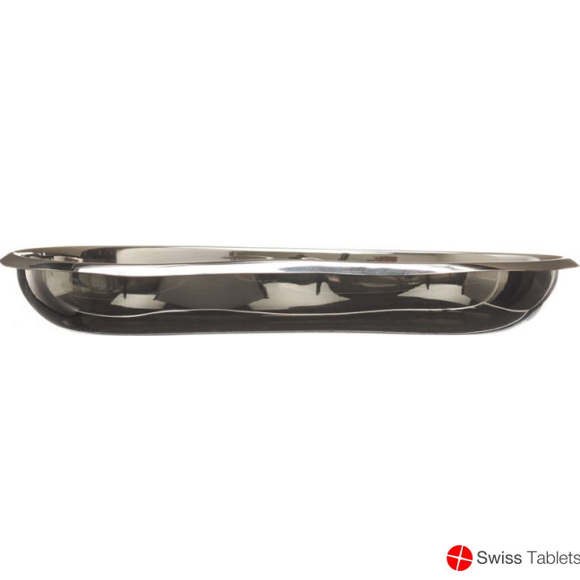 Fh kidney bowl 25cm steel buy online