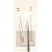 Nopa tweezers Semken anatomic 12.5cm buy online