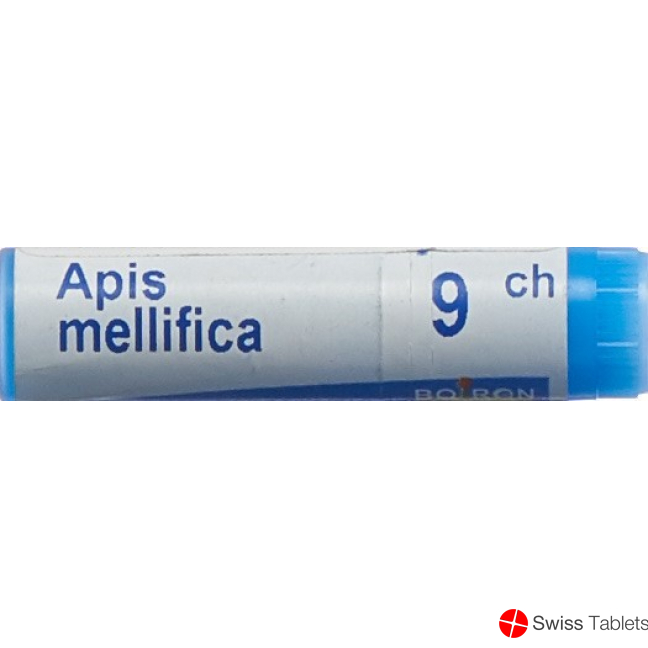 Apis mellifera Boiron Glob C 9 1 Dos