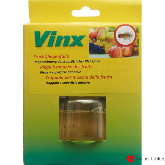 Vinx fruit fly trap with adhesive strips buy online