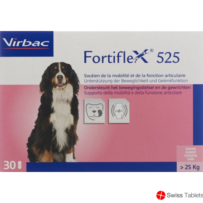 Fortiflex Tabletten 525mg Blister 30 Stück buy online