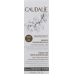 Caudalie Vinoperfect Essenz für mehr Ausstrahlung 100ml buy online