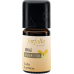 Farfalla Aromamischung Lebensfreude Orange 5ml buy online