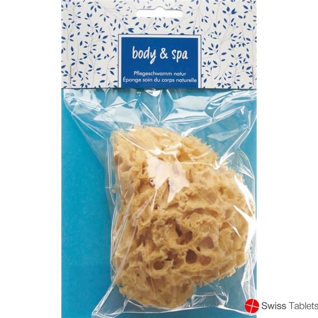 Herba natural sponge small buy online