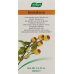 A. Vogel Dentaforce Kräuter-Mundwasser 100ml buy online