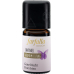 Farfalla Aromamischung Lavendel Gute Nacht 5ml buy online