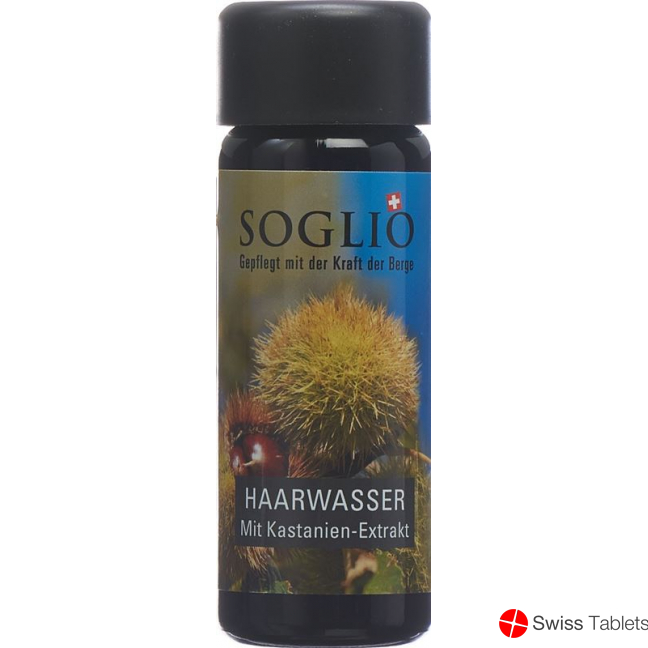 Soglio Haarwasser mit Kastanien-Extrakt Flasche 100ml buy online