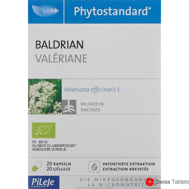 Phytostandard Baldrian Kapseln Bio 20 Stück buy online