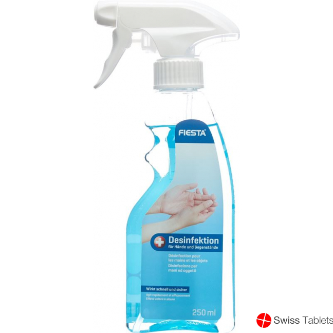 Fiesta Desinfektion Hände+gegenstaende Flasche 250ml buy online