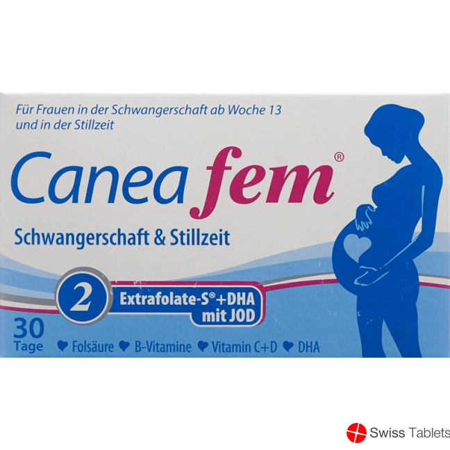 Caneafem 2 Schwangerschaft Stillzeit Kapseln 60 Stück buy online