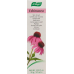 A. Vogel Echinacea Creme 35g buy online
