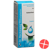 Reckeweg R6 Gripfektan Tropfen Flasche 50ml