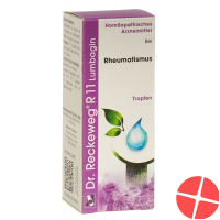 Reckeweg R11 drops 50 ml bottle Reckeweg R11 drops 50 ml bottle
