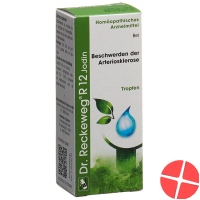 Reckeweg R12 Jodin Tropfen Flasche 50ml