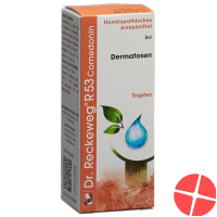 Reckeweg R53 Comedonin Tropfen Flasche 50ml