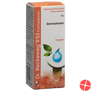 Reckeweg R53 Comedonin Tropfen Flasche 50ml