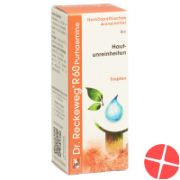 Reckeweg R60 Purhaemine Tropfen Flasche 50ml