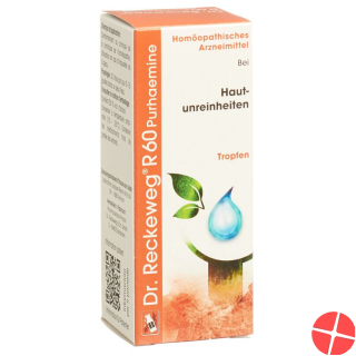 Reckeweg R60 Purhaemine Tropfen Flasche 50ml