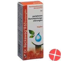 Reckeweg R63 Endangitin Tropfen Flasche 50ml