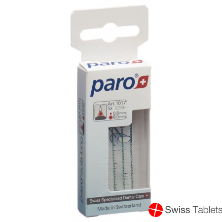 Paro Isola Long 8mm Medium Grün zylindrisch 5 Stück buy online