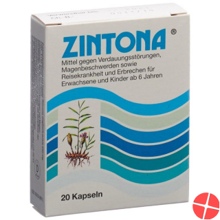 Zintona Kapseln 20 Stück