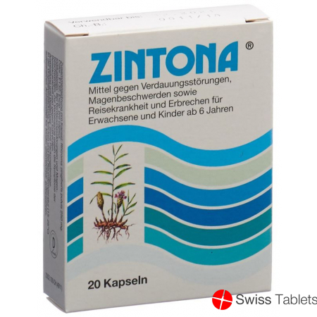 Zintona Kapseln 20 Stück buy online