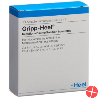 Gripp Heel Injektionslösung 10 Ampullen 1.1ml