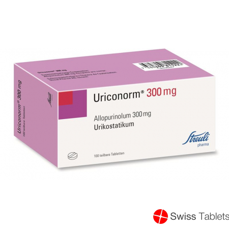 Uriconorm Tabletten 300mg 100 Stück buy online