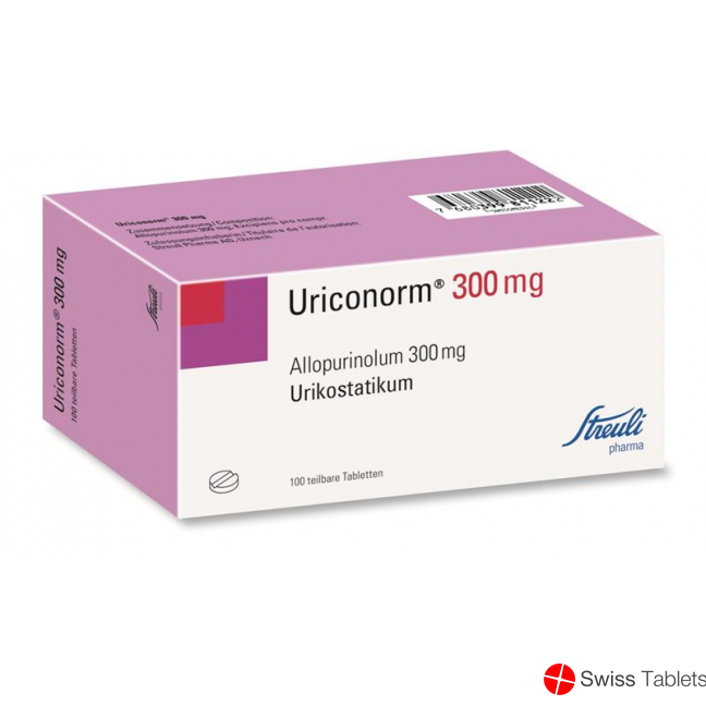 Uriconorm Tabletten 300mg 100 Stück buy online