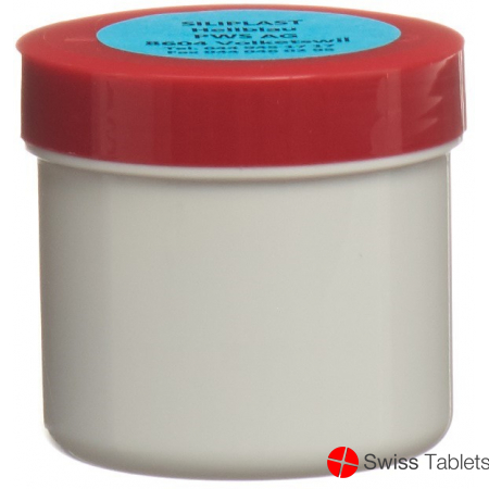 Siliplast Paste No 200 Minimal Hellbl 55g buy online