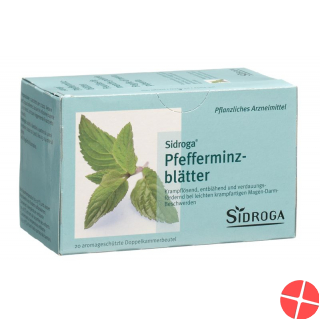 Sidroga Pfefferminzblätter Tee 20 Beutel