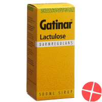 Gatinar Sirup 500ml