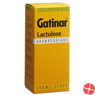 Gatinar Sirup 500ml