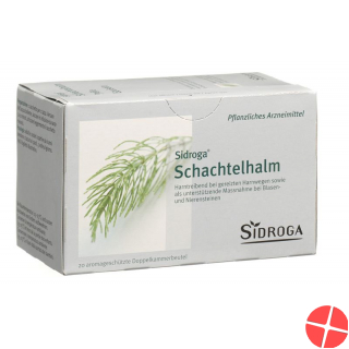 Sidroga Schachtelhalm Tee Beutel 20 Stück