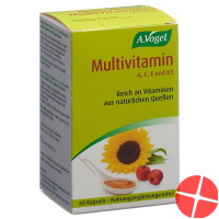Multivitamin Kapseln 60 Stück