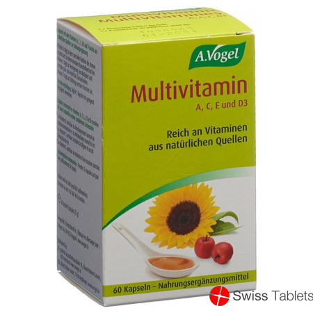 Multivitamin Kapseln 60 Stück buy online