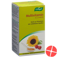 Multivitamin Kapseln 120 Stück