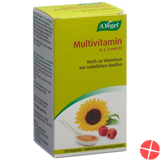 Multivitamin Kapseln 120 Stück