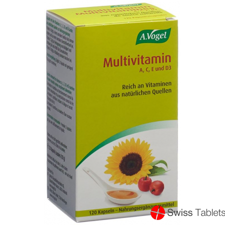 Multivitamin Kapseln 120 Stück buy online