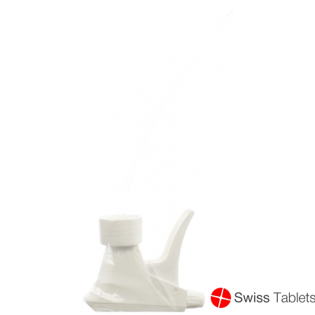 Hartmann Zerstäuber für 500ml Flasche buy online