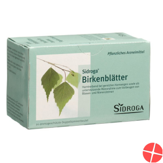 Sidroga Birkenblätter Tee 20 Beutel